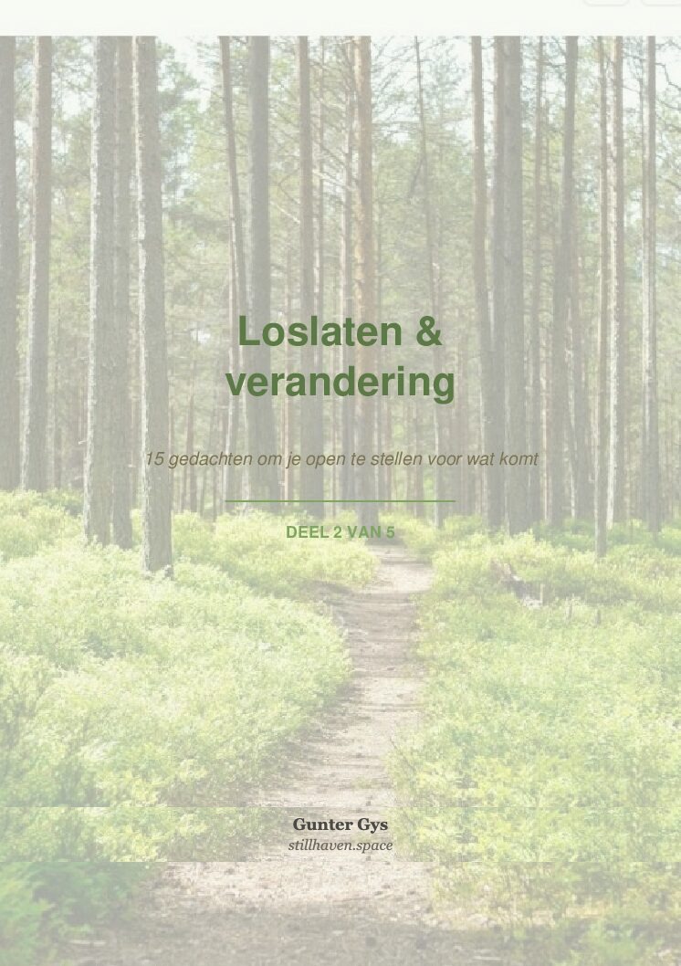 Cover van deel 2 uit de reeks Stilstaan bij jezelf: Loslaten en verandering.